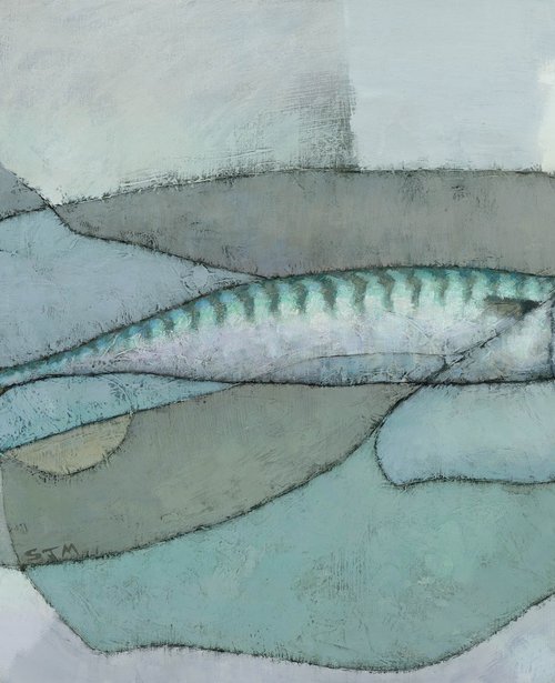 Cornish Mackerel by Steve Mitchell