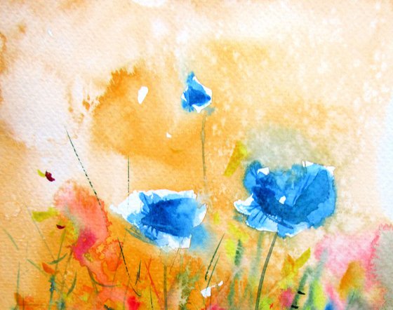 Blue poppies