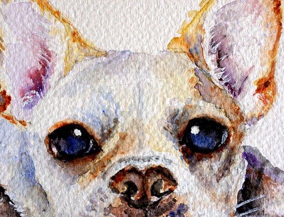 Cute Watercolor French Bulldog _ ORIGINAL