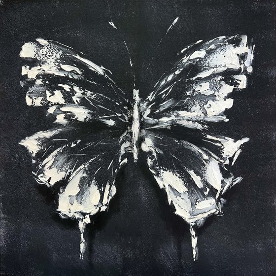 White and Black mother-of-pearl  butterfly. White and Black Abstract butterfly painting.