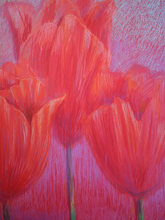 Red Tulips on Red