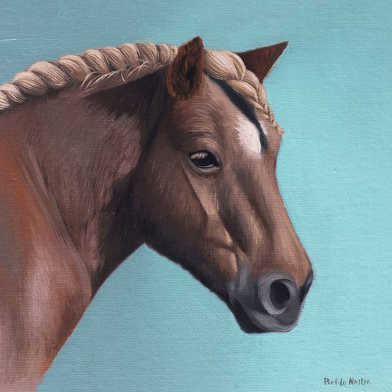 Horse Portrait 45