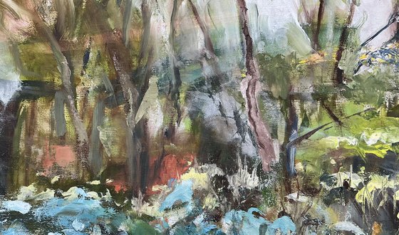 Winter from the Window