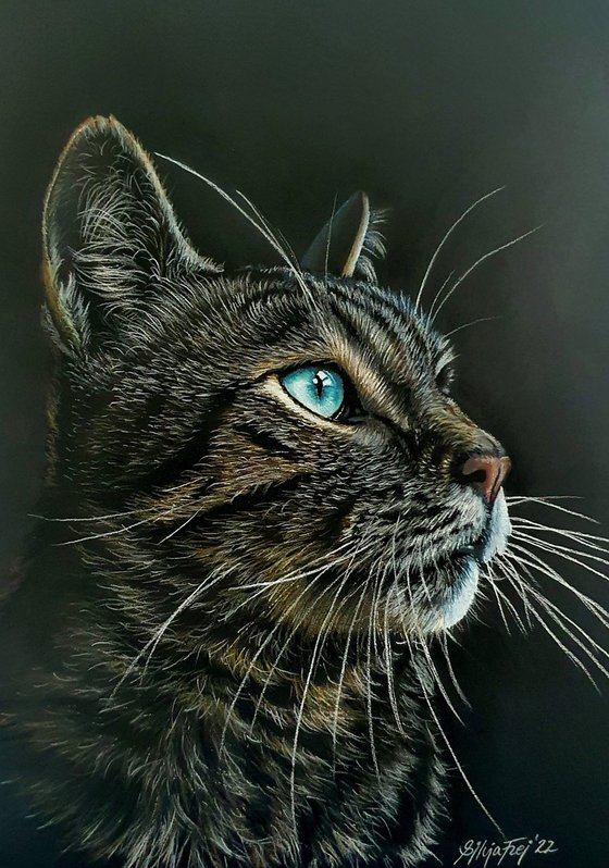 Blue Exes - Tabby Cat Portrait Drawing