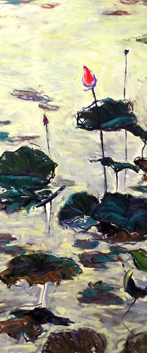 Water Lilies by Yuanyuan Liu