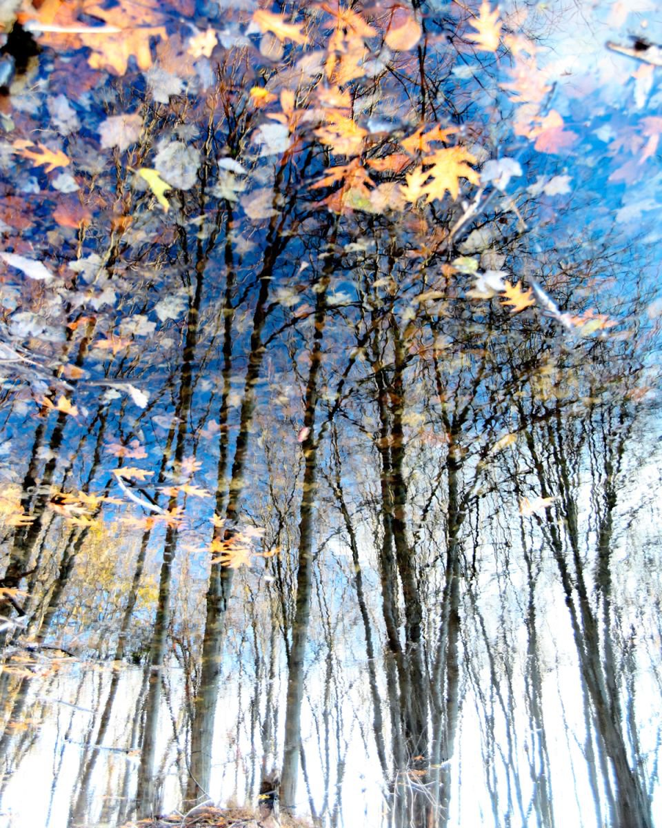 Photorealistic Landscape Photograph By Michael Filonow, 26 X 32", Reflection 9, Original Artwork