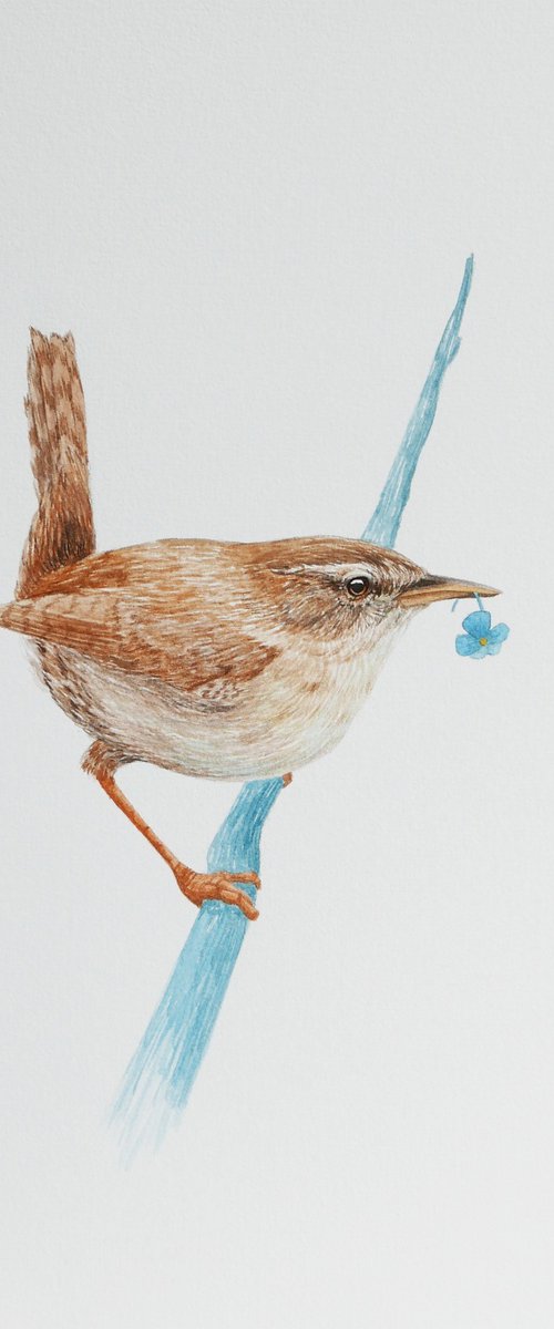 Eurasian wren with fake plastic flower by Karina Danylchuk