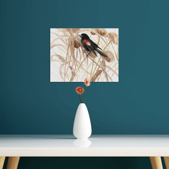 Red Winged Blackbird