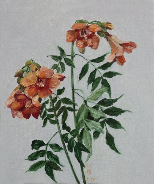 orange flowers by Zhao Hui Yang