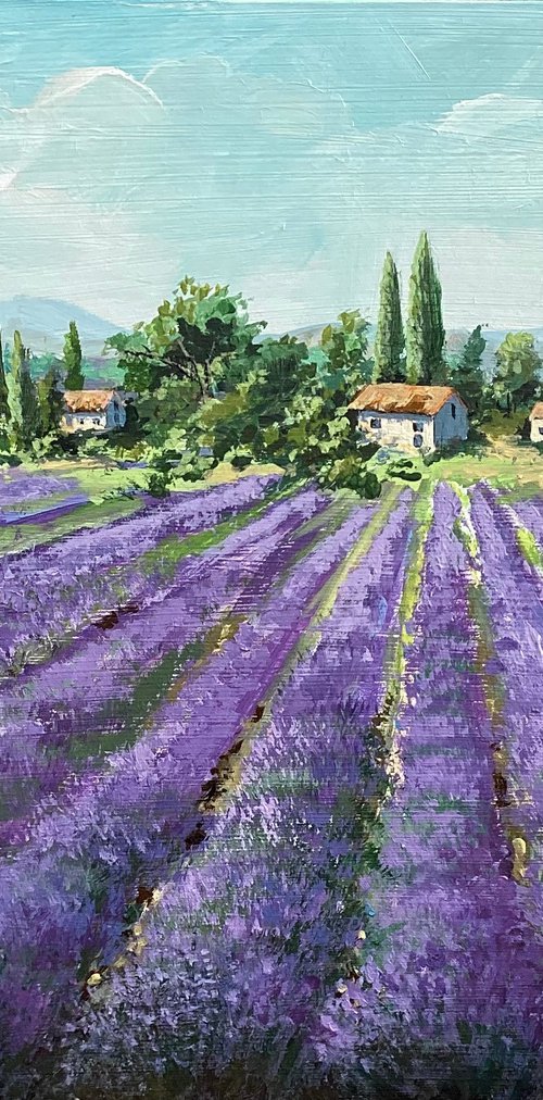 Lavender  landscape. by Tetiana Vysochynska