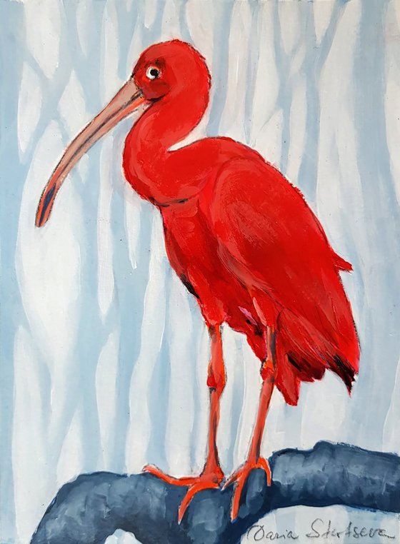 Scarlet Ibis in a Forest
