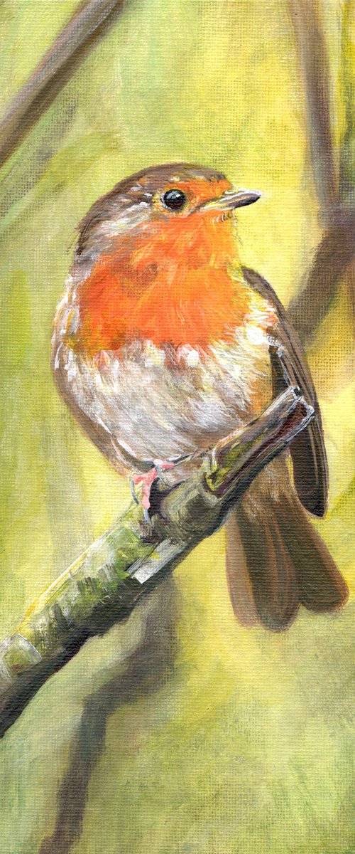 Robins View by Sarah Stowe