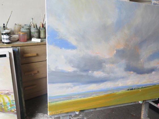 Yorkshire Wolds,  June 14