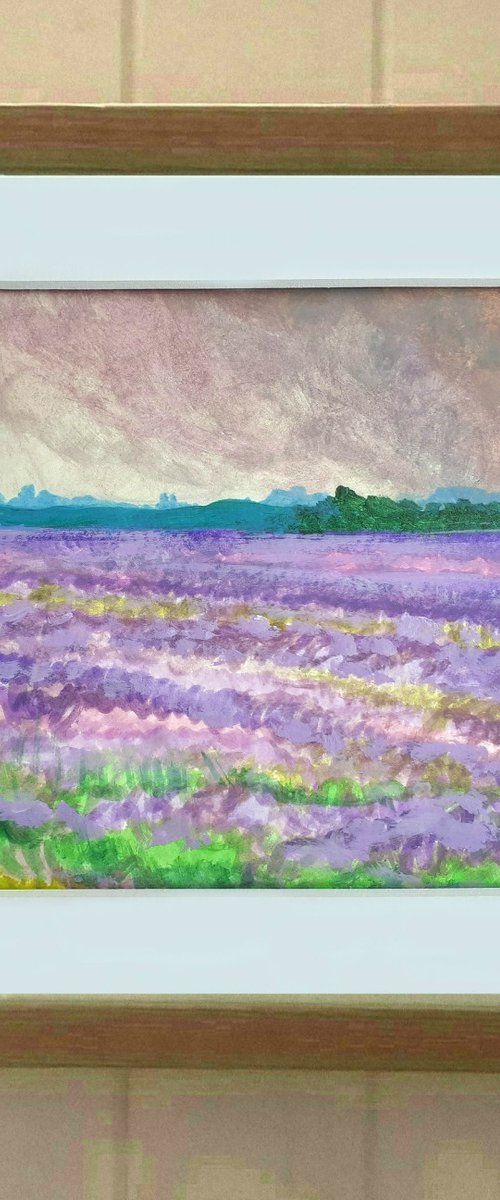 Lavender Fields 2 - mounted landscape, small gift idea by Lisa Mann