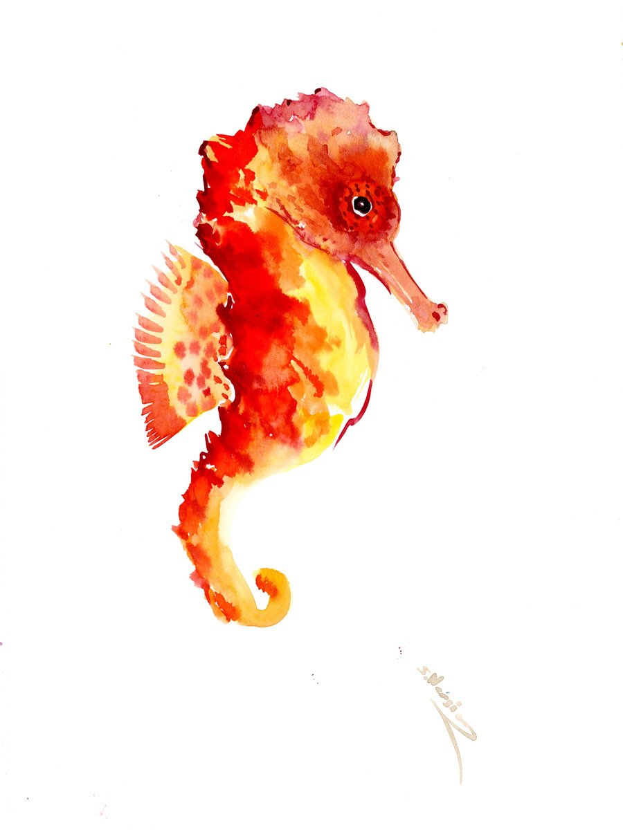seahorse by Suren Nersisyan