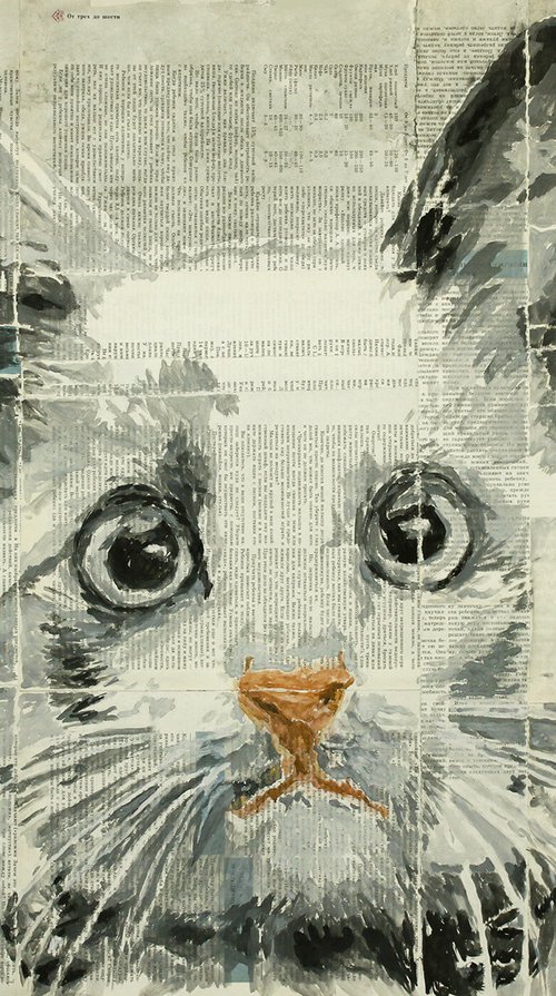 Cat. by Marat Cherny