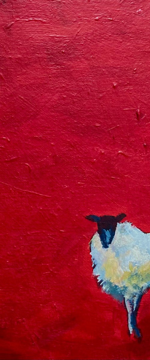 Red Sheep IV by Stuart Roper