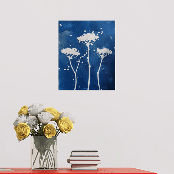 Umbellifer Cyanotype