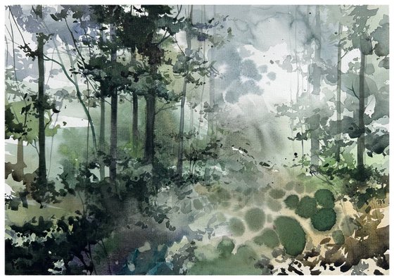 Forest landscape