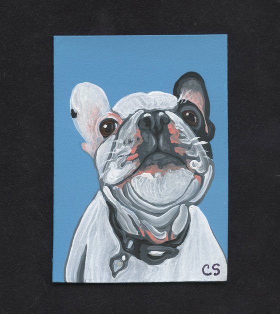 ACEO ATC Original Miniature Painting Pied French Bulldog Pet Dog Art-Carla Smale