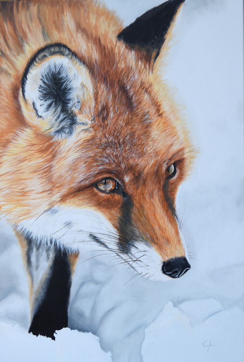 Photorealistic Animal Oil Painting By Nicola Colbran, 20 X 30", 