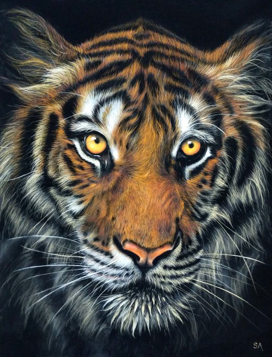 Tiger IV (Original Big cat Painting)
