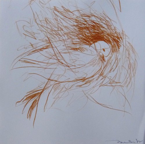The Birds C20-33, 21x20 cm - EXCLUSIVE to AF by Frederic Belaubre
