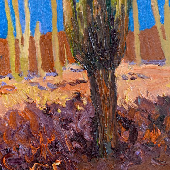 Shadows of the Southwest