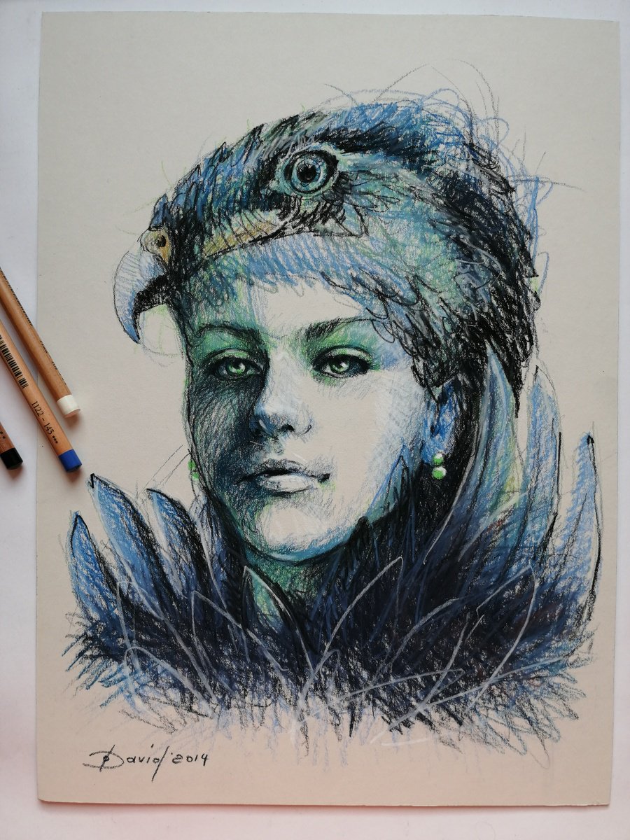 Falcon instinct - female portrait drawing by Olga David