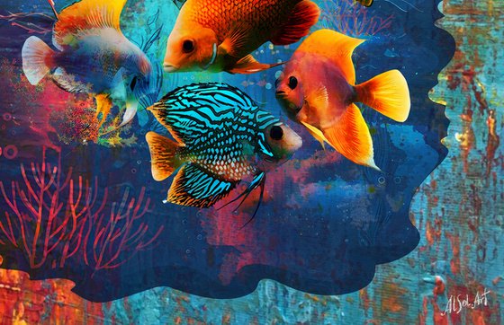 Red Sea Fishes