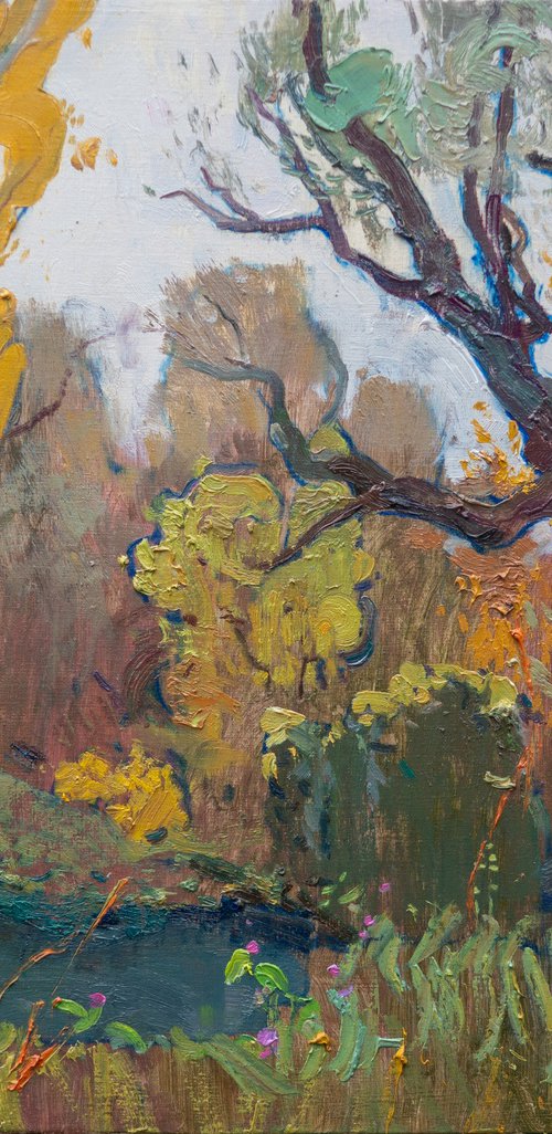 Autumn nature by Victor Onyshchenko