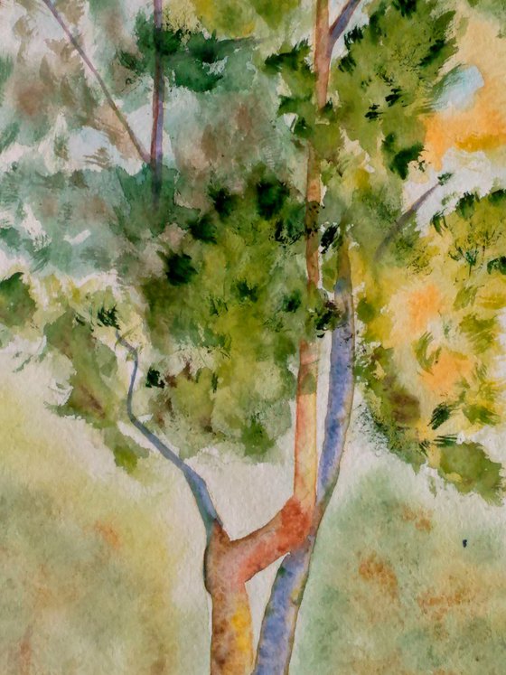 Pine Tree original watercolor painting