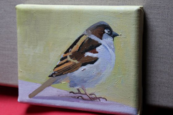 Spring Sparrows #2