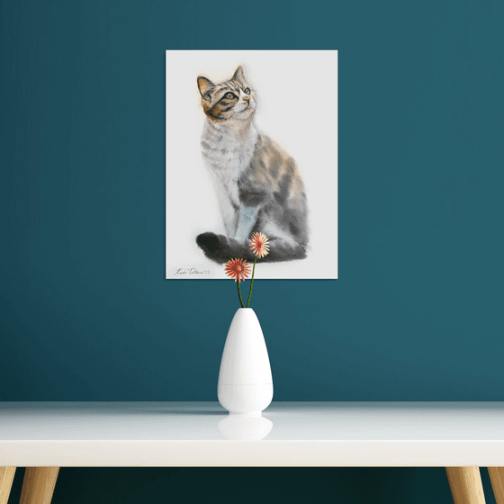 Cat portrait