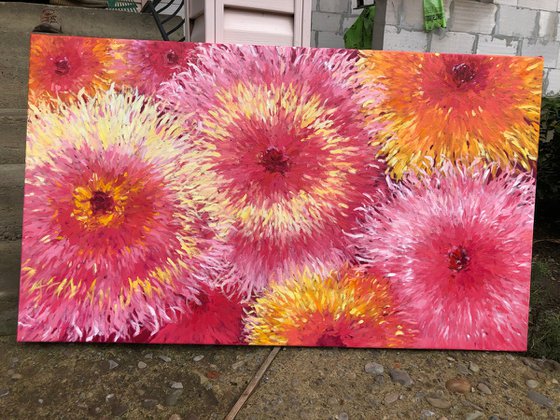 Warm flower beauty