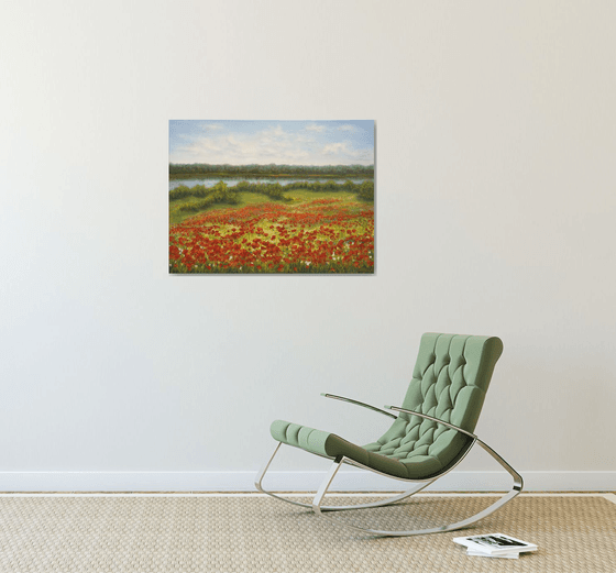Poppy field