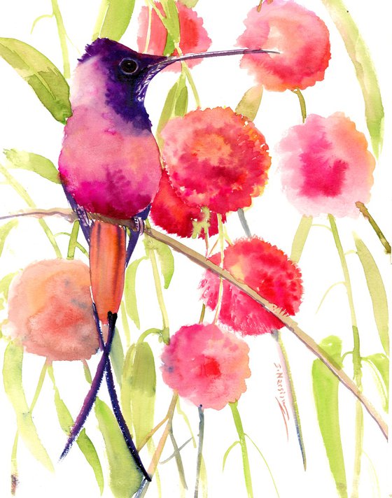 Hummingbird and Flowers