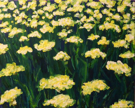 A field of yellow