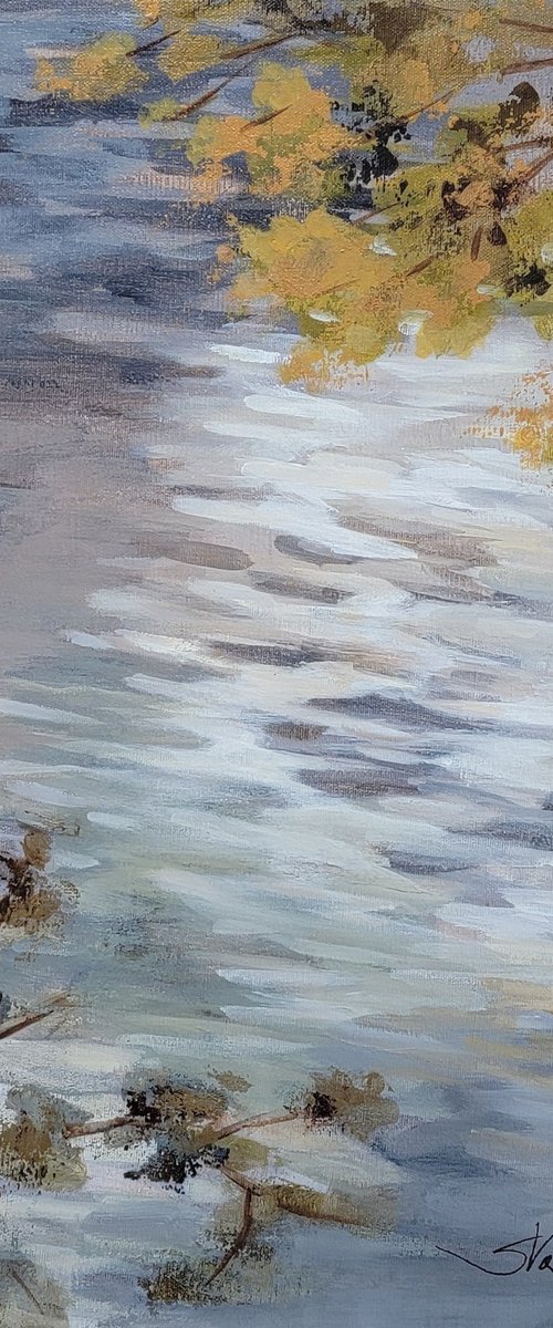 Ripples and Branches by Silvia Vassileva