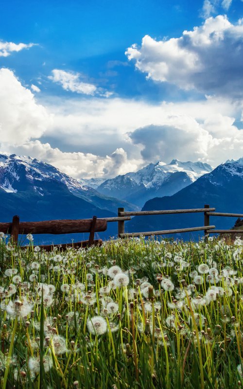 Italian Alps by Karim Carella