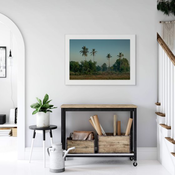 Four Palms