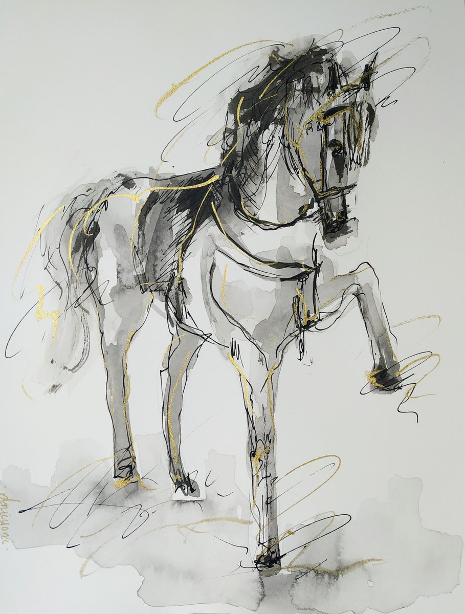 Horse ink drawing seriesHorse drawing on paper Ink drawing by Antigoni