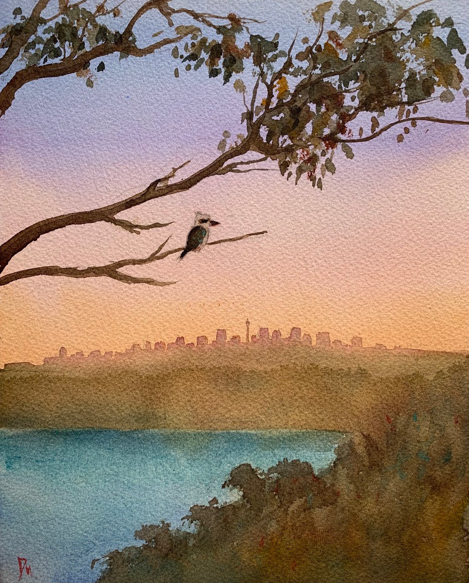 Kookaburra Watching Sunset by Shelly Du