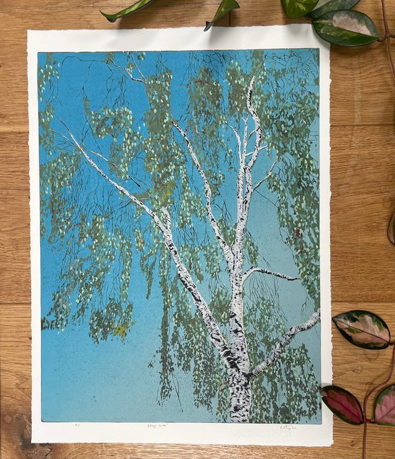 Birch Tree Linocut Print