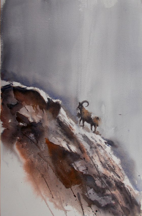 mouflon