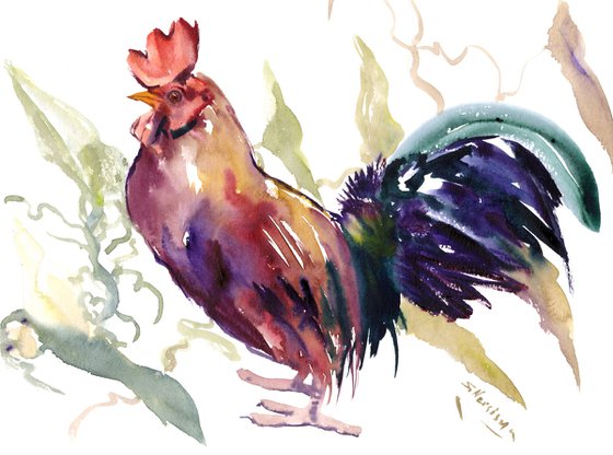 Rooster