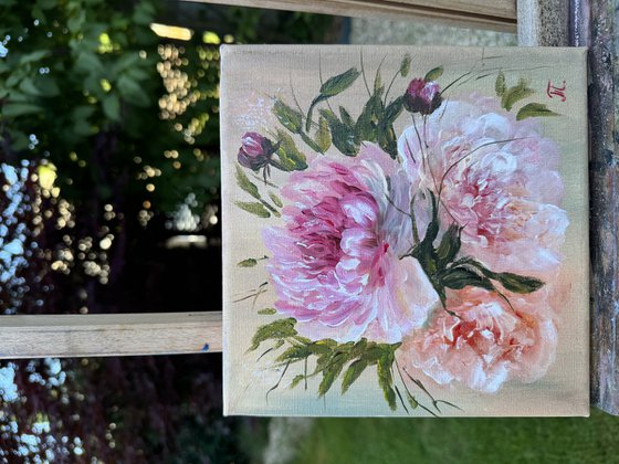 Collection of Delicate Flowers - Peonies