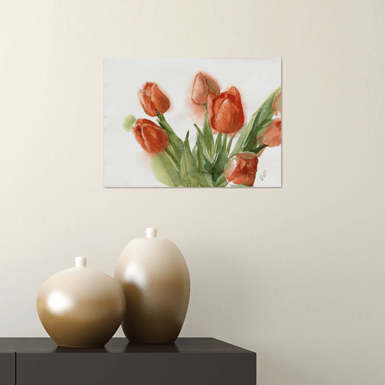 "Red Tulip Bouquet on a white background"