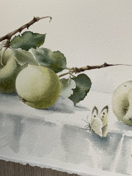 Stillness in the Garden
