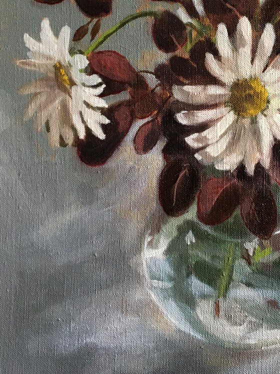 Shasta Daisies